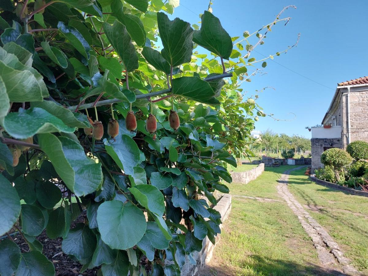 Quinta Da Ponte Ξενοδοχείο Βιάνα ντο Καστέλο Εξωτερικό φωτογραφία