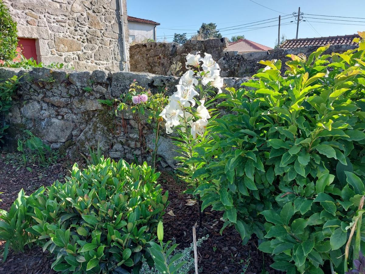 Quinta Da Ponte Ξενοδοχείο Βιάνα ντο Καστέλο Εξωτερικό φωτογραφία